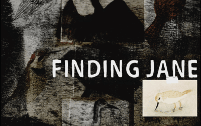 FINDING JANE